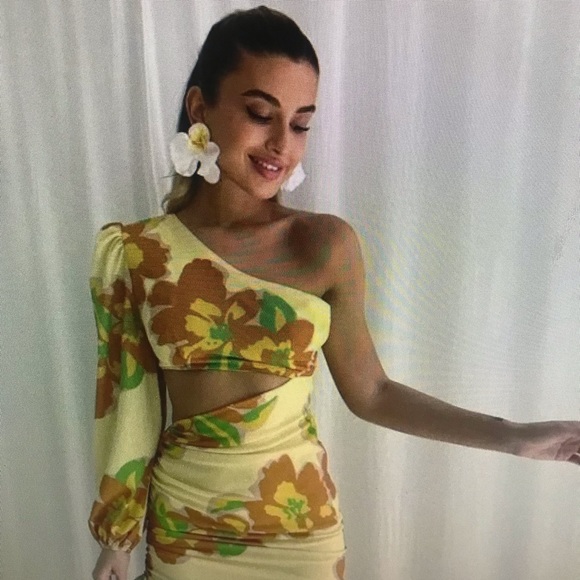 Meet your Posher, Yoselin - Picture 1 of 1